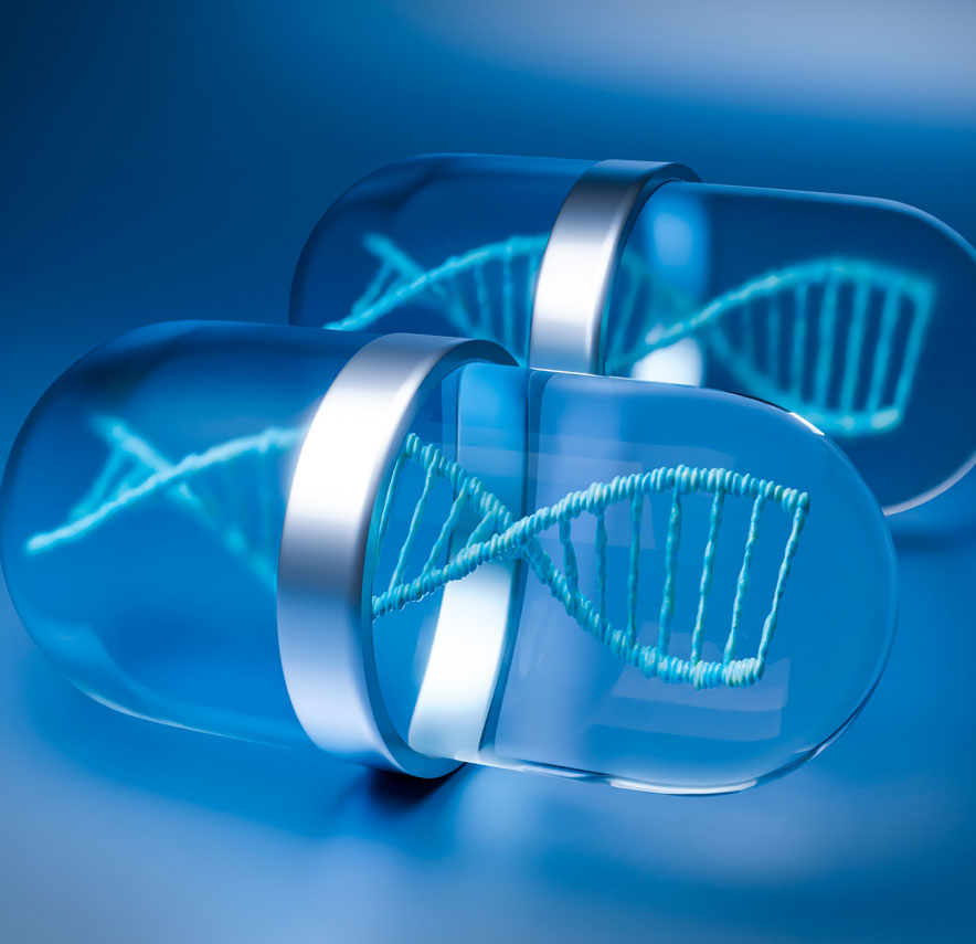 Organoid & Spheroid Engineering Workshop